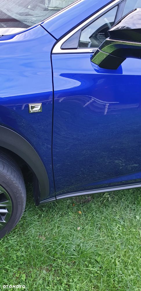 Lexus NX 300h F Sport AWD - 15
