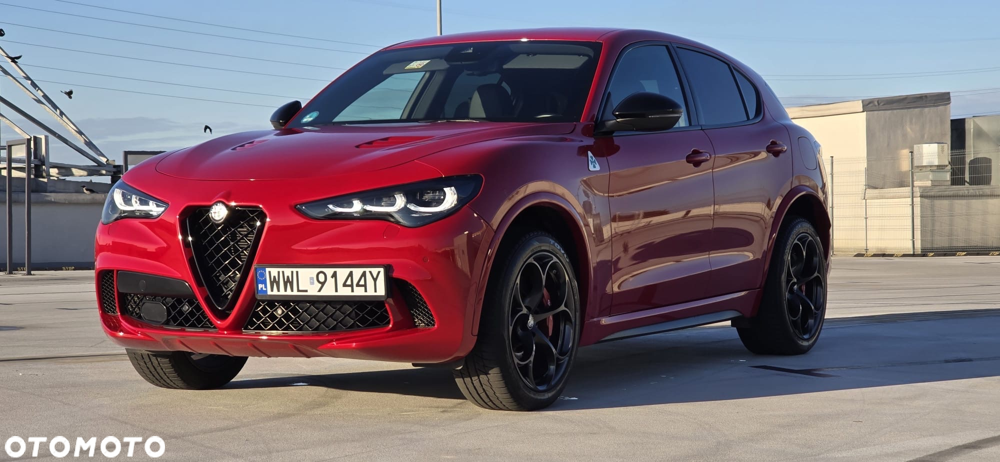 Alfa Romeo Stelvio 2.9 V6 Bi-Turbo Quadrifoglio Q4 - 14