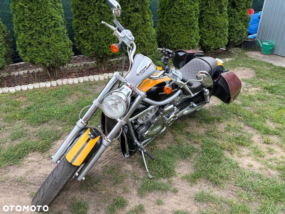 Harley-Davidson V-Rod Street Rod - 5