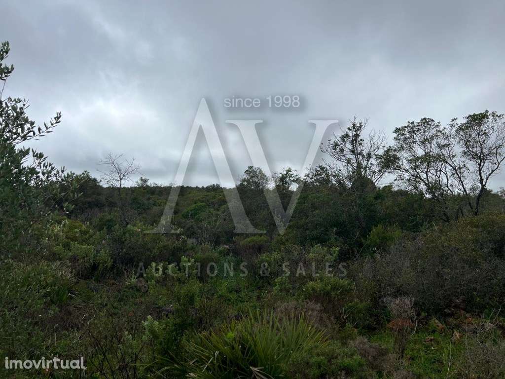 Terreno Rústico - Loulé |LEILÃO ELETRÓNICO| FIM 25*MAI - Grande imagem: 4/6