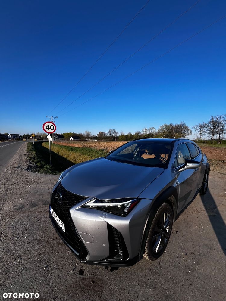 Lexus UX 250h GPF F Sport Edition 2WD - 21