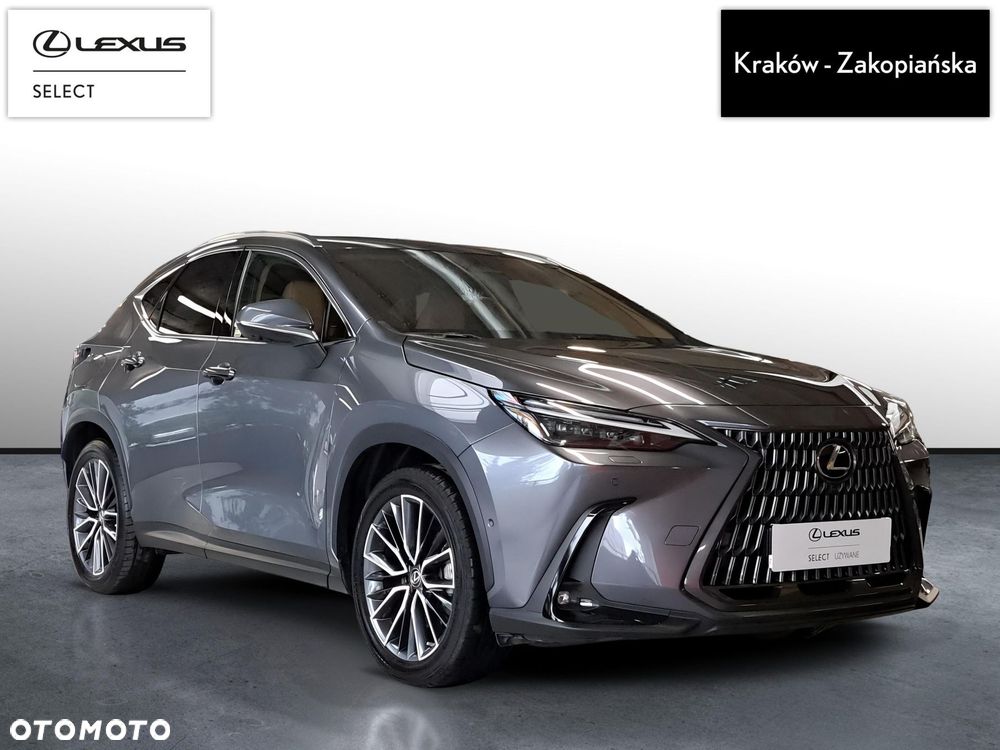 Lexus NX - 4
