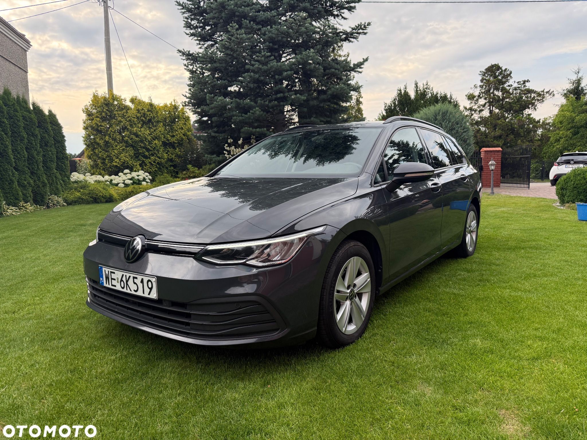 Volkswagen Golf VIII 1.0 TSI Life - 1