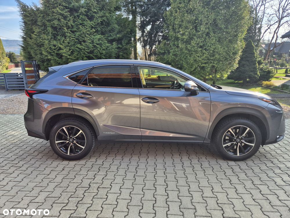 Lexus NX 300h Prestige AWD - 7