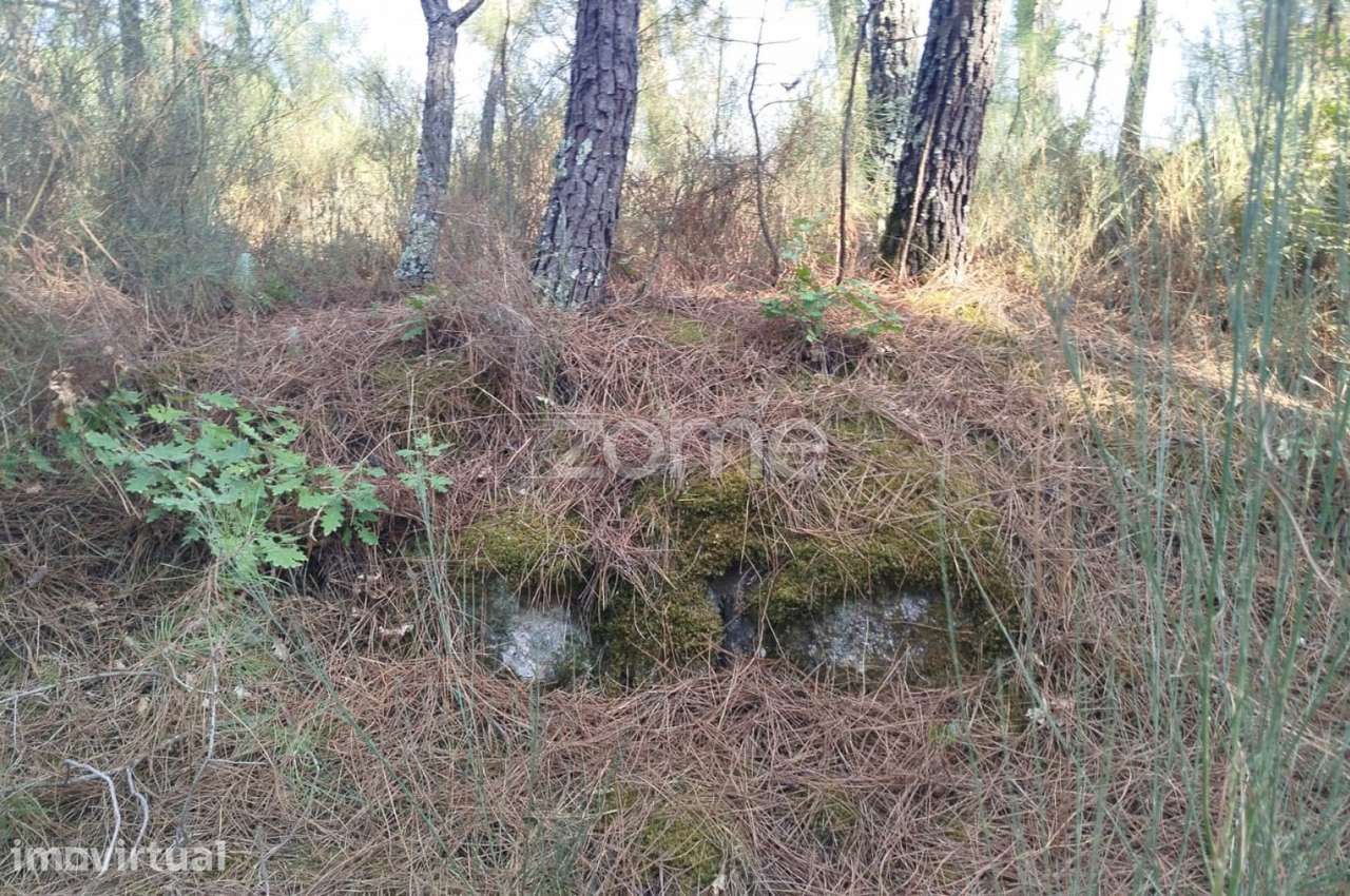 Terreno, 1 958 m², Santiago de Cassurrães e Póvoa de Cervães - Grande imagem: 5/30