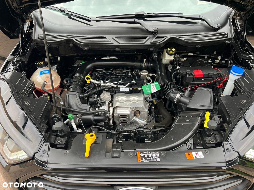 Ford EcoSport 1.0 EcoBoost ST-Line ASS - 21