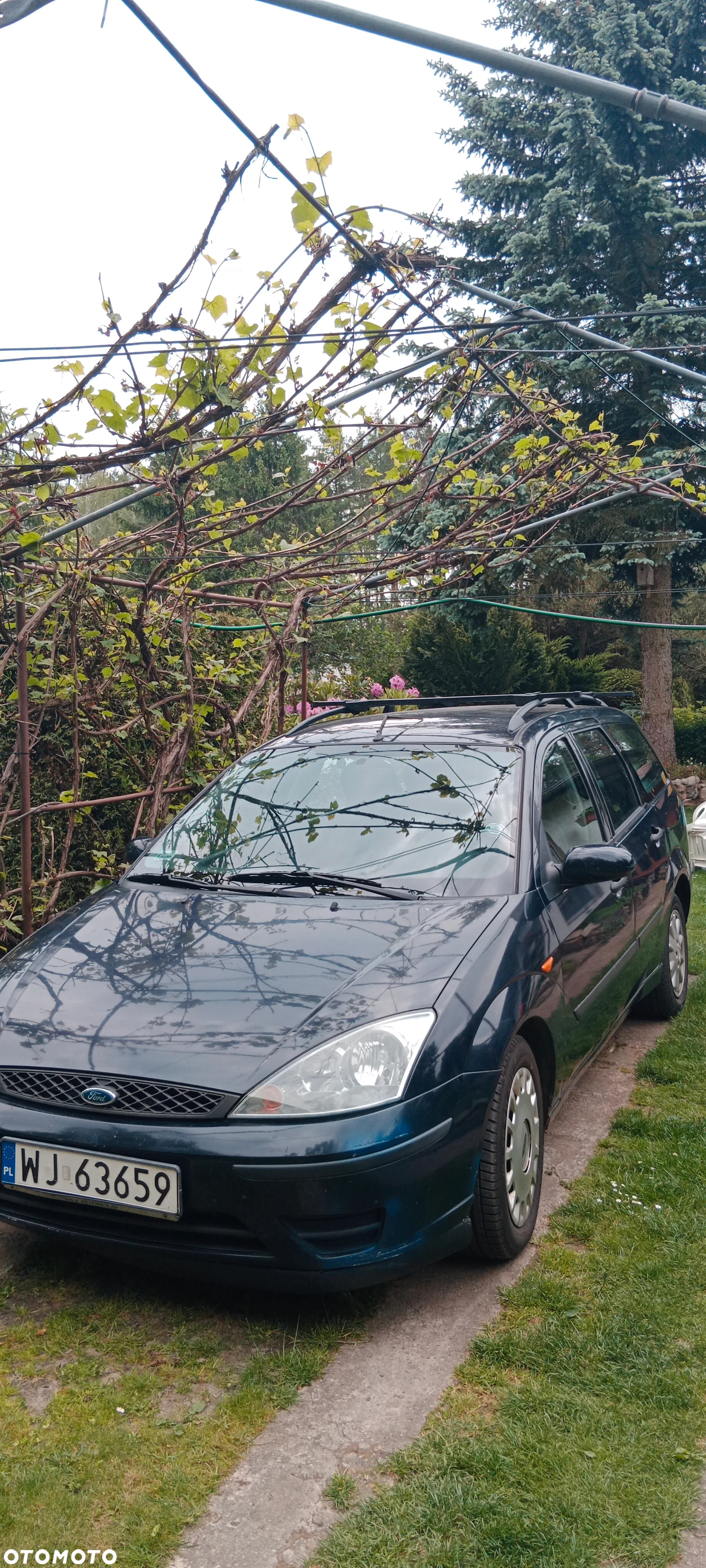 Ford Focus - 8