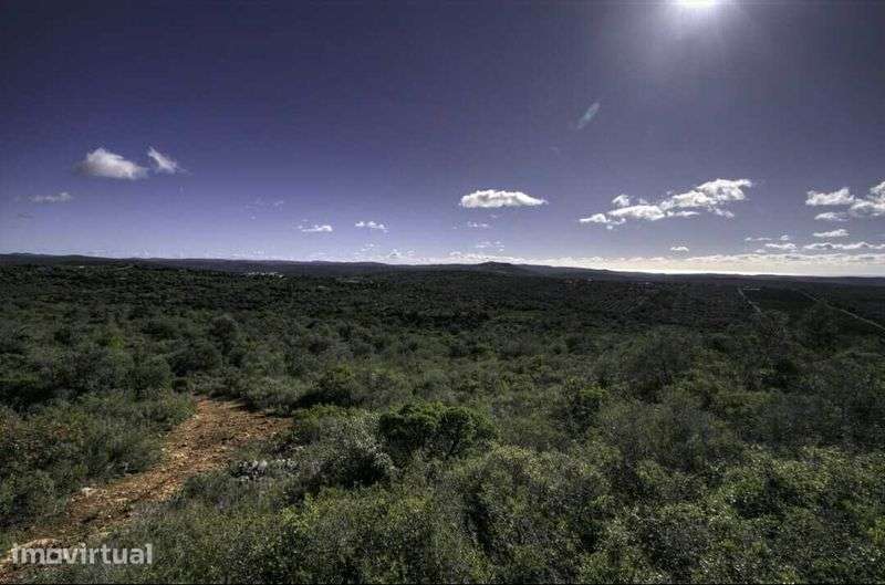 Terreno rústico com 17 há Algarve - Grande imagem: 2/2