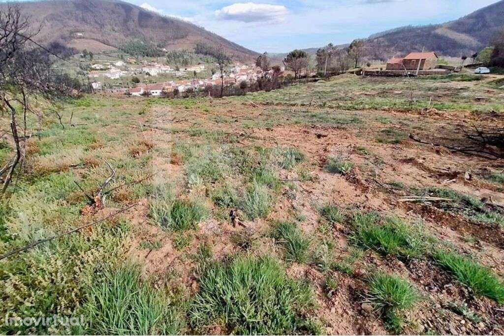 Terreno rústico parcialmente urbanizável na Serra da Estrela - Grande imagem: 3/17