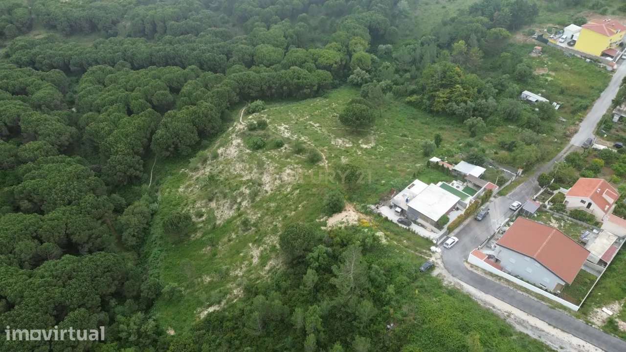 Terreno Rústico com 7.920 m² em Vilalonga – Excelente Oportunidade de - Grande imagem: 2/5