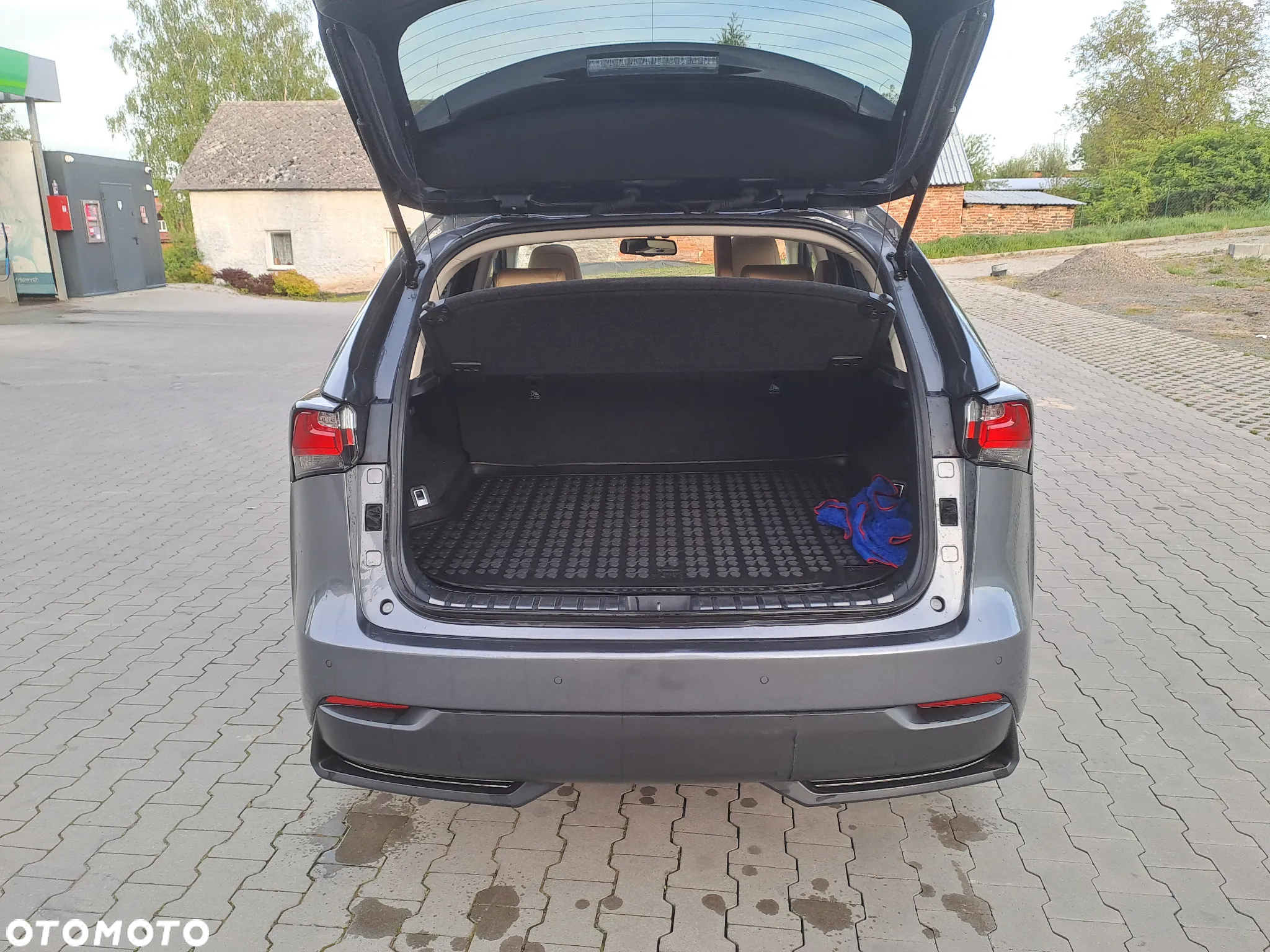 Lexus NX 300h - 11