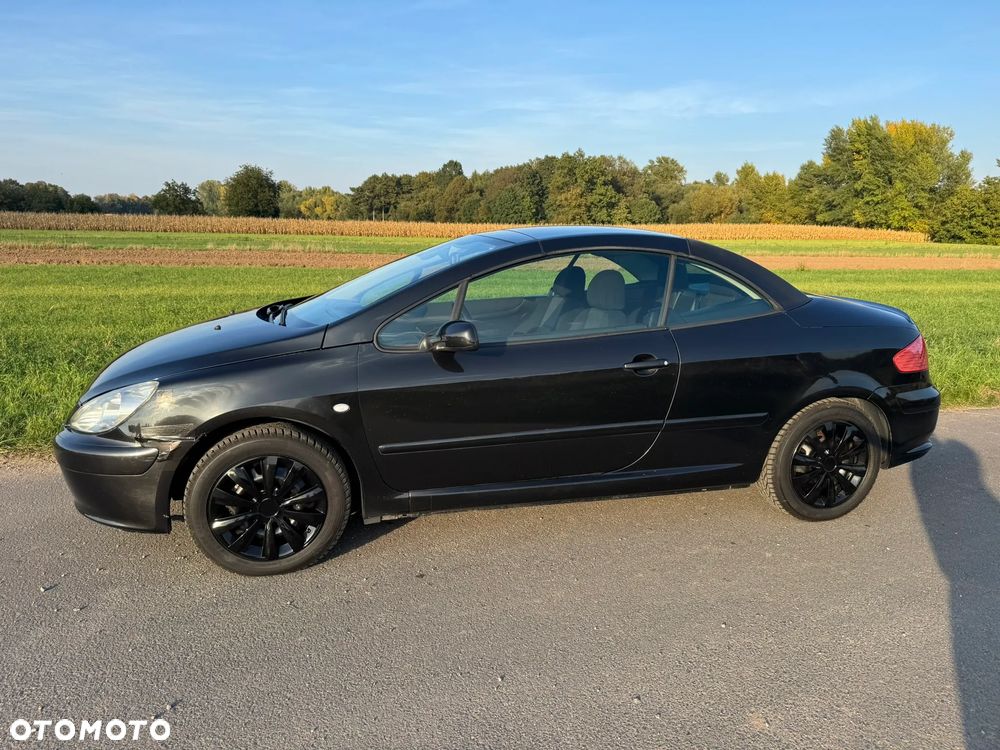 Peugeot 307 CC 2.0 - 18