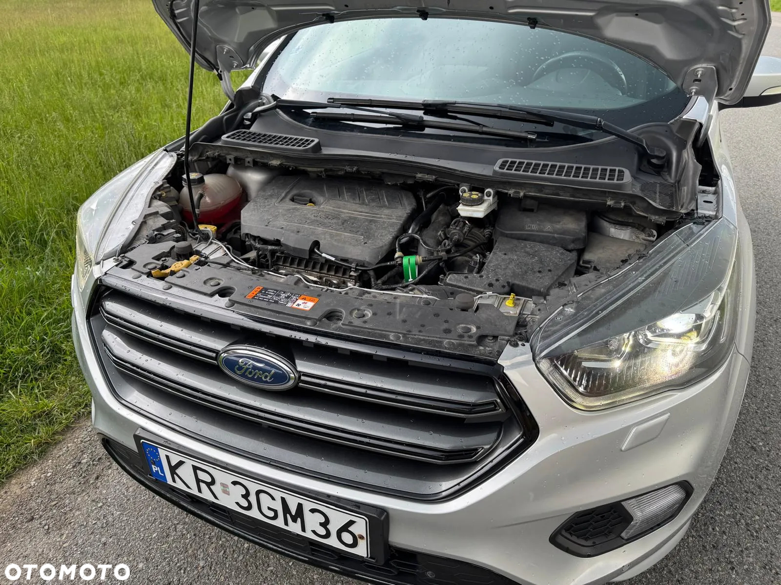 Ford Kuga 1.5 EcoBoost FWD ST-Line ASS - 13