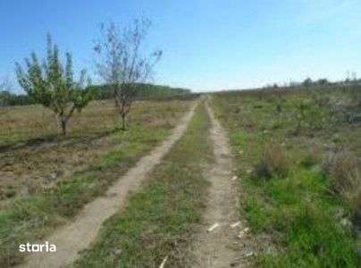 Teren Branceni, ID: R2942560 - Imagine principală: 4/9