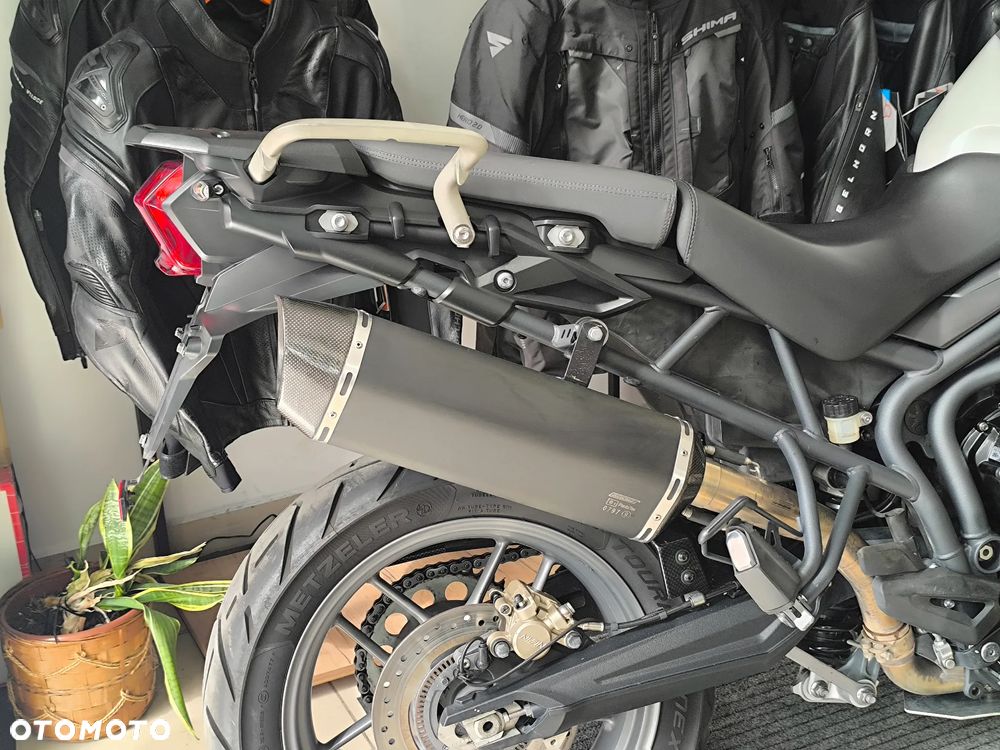 Triumph Tiger - 5