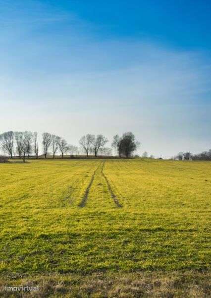 Terrenos para arrendamento - Grande imagem: 2/4