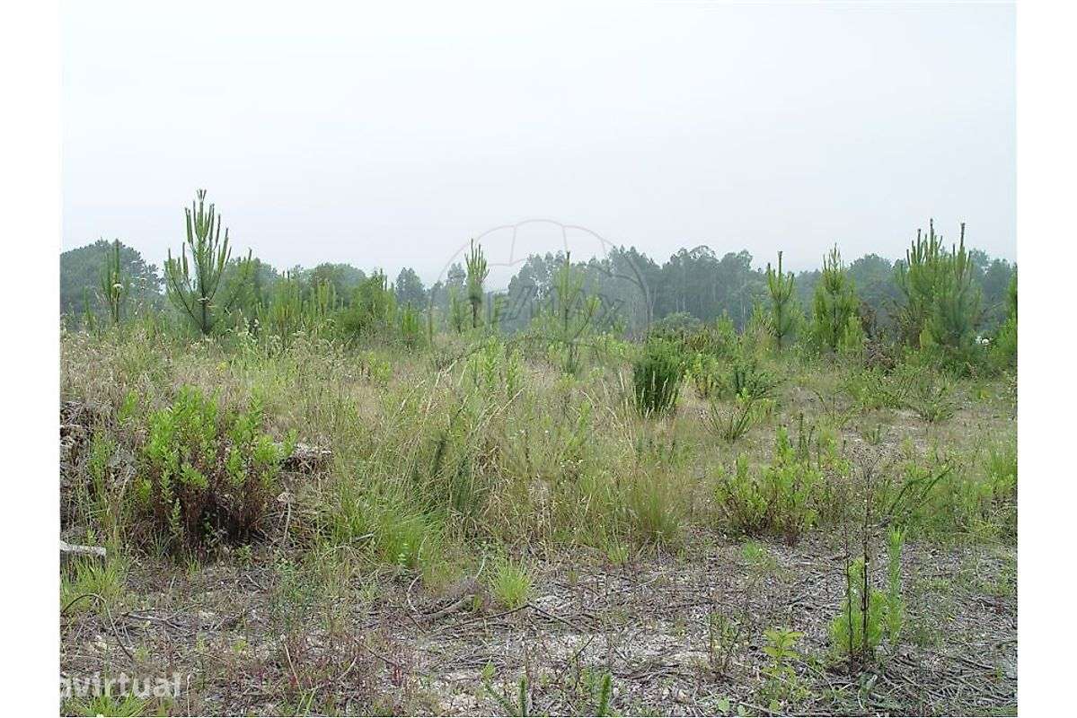 Terreno  para venda - Grande imagem: 2/5