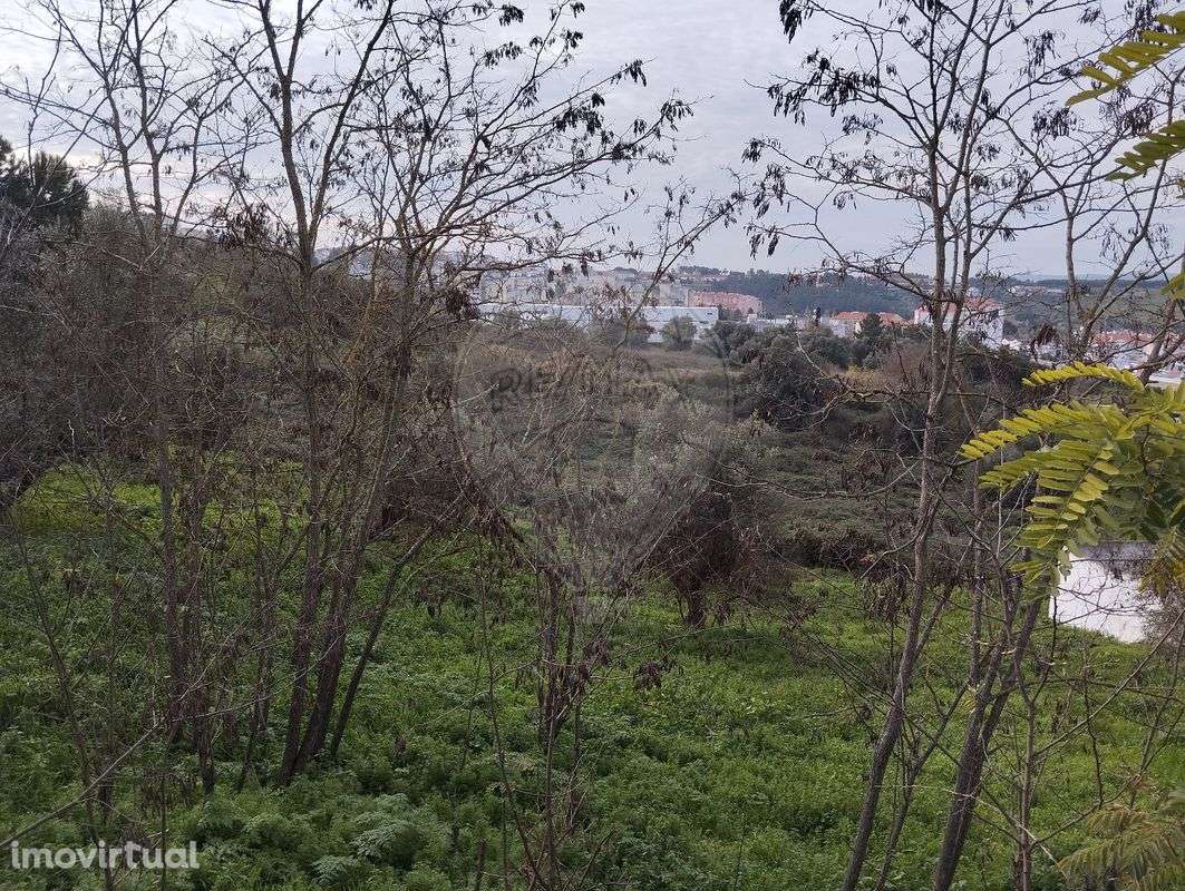 Terreno  para venda - Grande imagem: 4/5