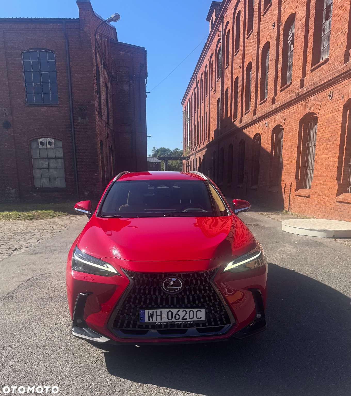 Lexus NX 350h Omotenashi AWD - 2