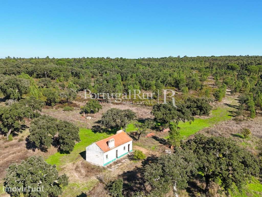 Quinta de 20ha com projeto para Turismo Rural a 1h de Lisboa - Grande imagem: 3/51