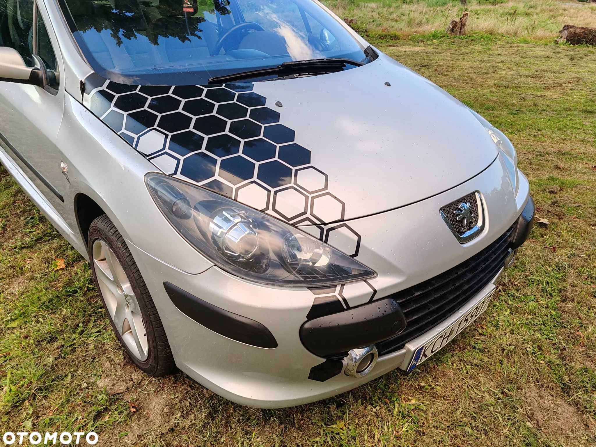 Peugeot 307 HDi Break 110 Sportline - 14