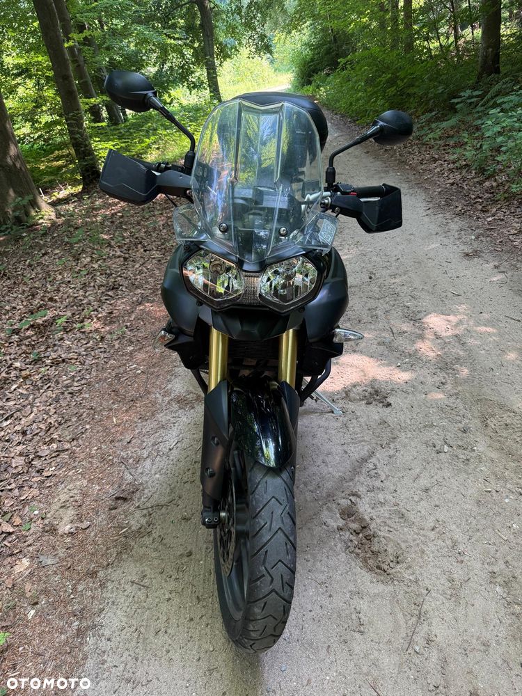 Triumph Tiger - 11