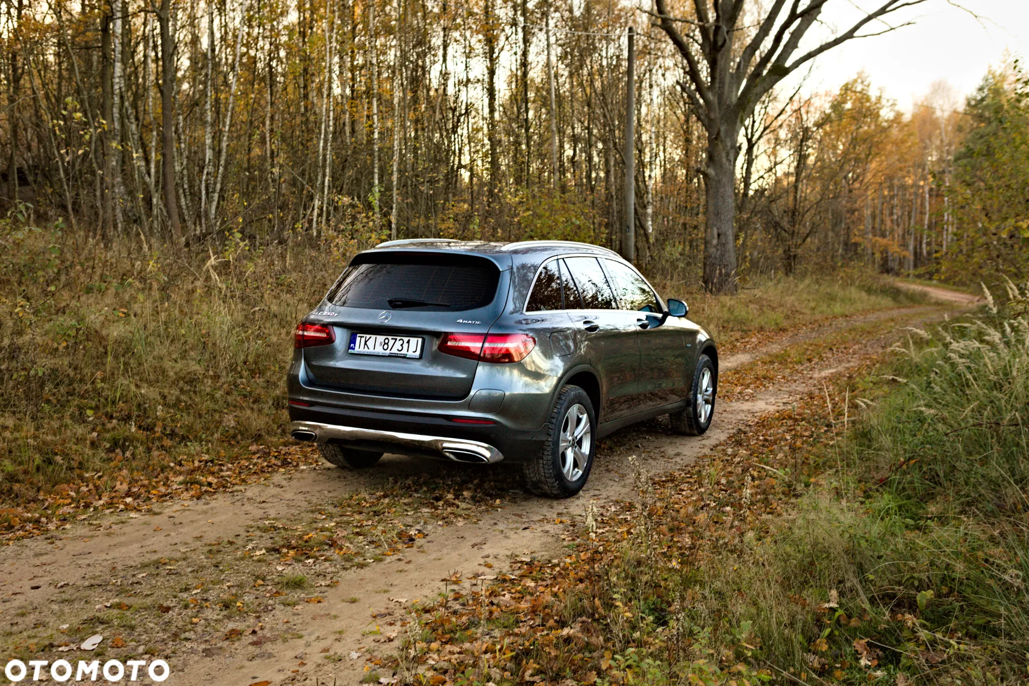 Mercedes-Benz GLC 350 e 4Matic 7G-TRONIC - 14