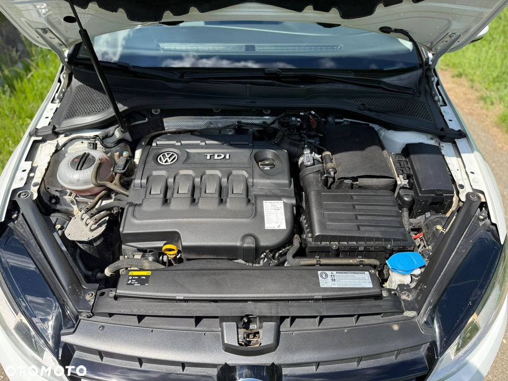 Volkswagen Golf 1.6 TDI BlueMotion Technology Lounge - 19