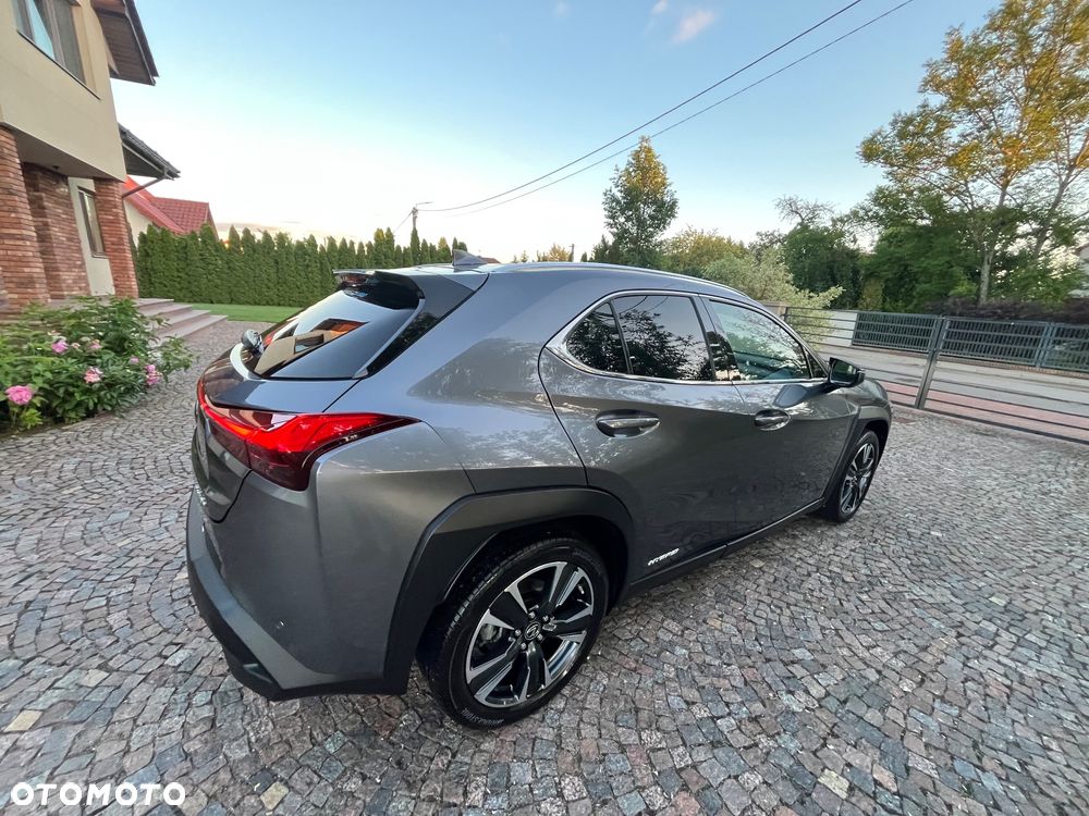 Lexus UX 250h Elegance 2WD - 10