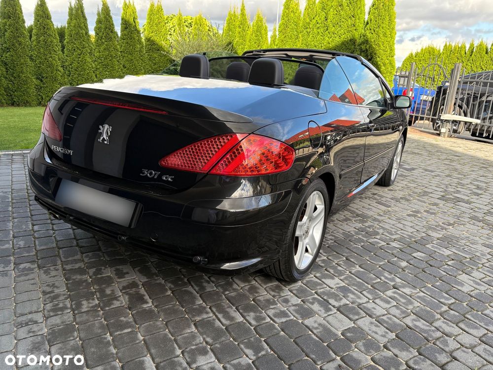 Peugeot 307 CC 2.0 - 14