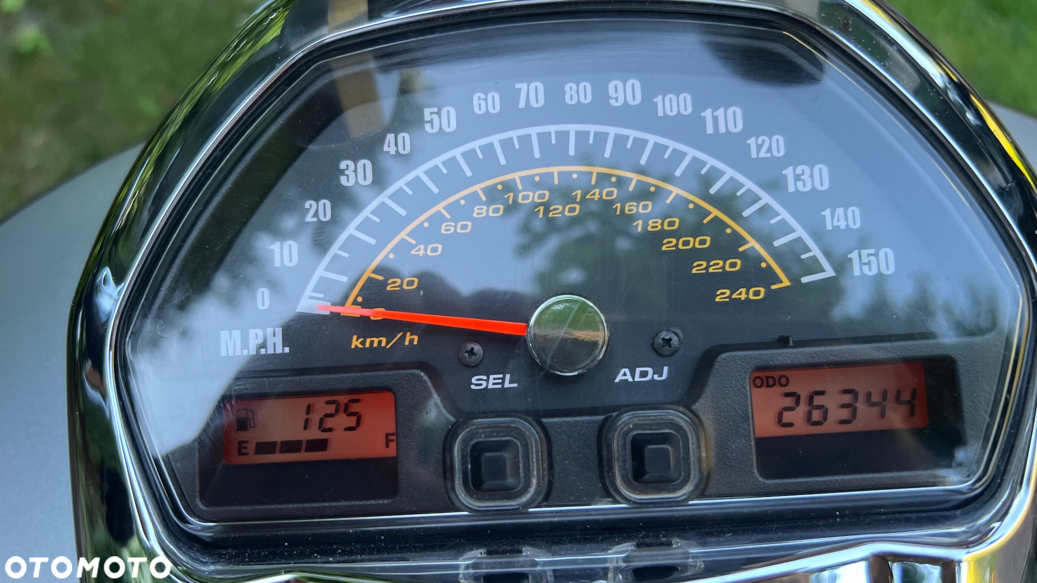 Suzuki Intruder - 24