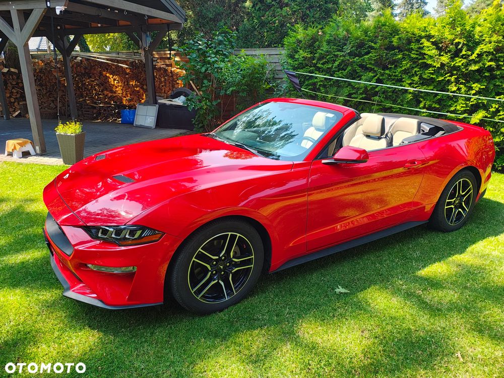 Ford Mustang - 6