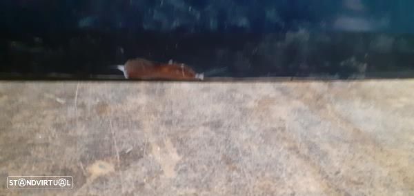 Tampa Da Mala Citroën C4 Ii Caixa/Hatchback (Nc_) - 4