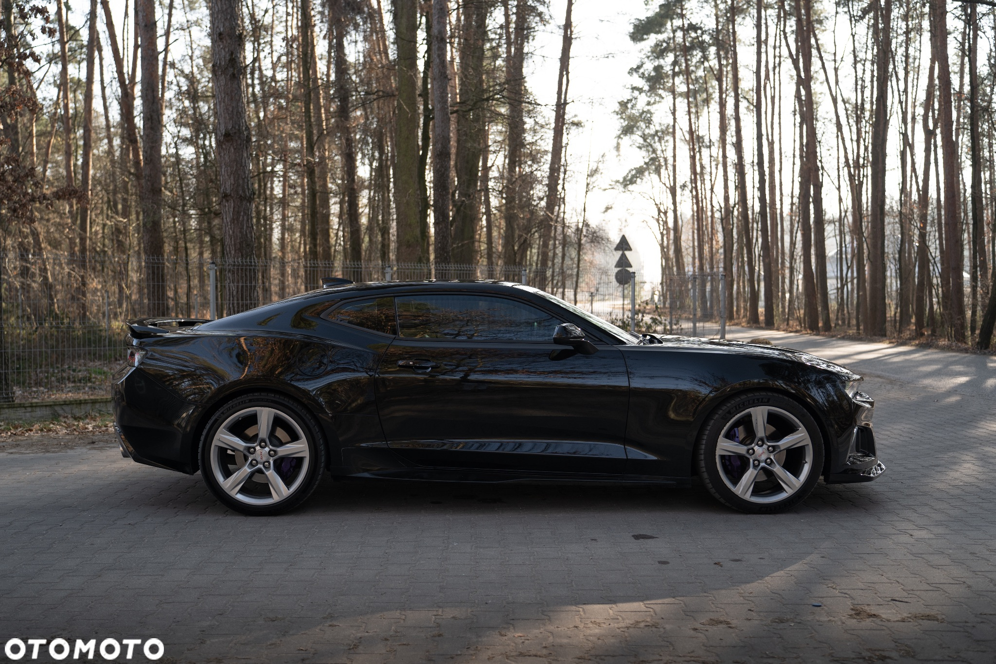 Chevrolet Camaro - 5