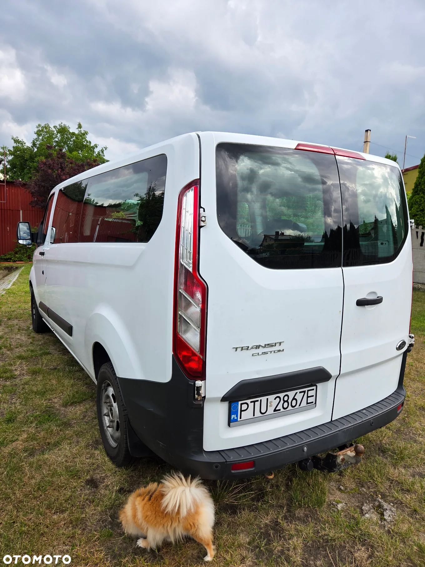 Ford Transit Custom 310 L2H1 Trend - 5