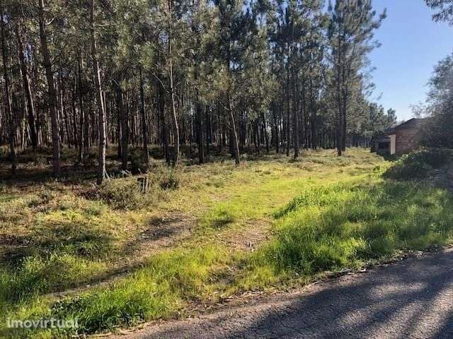 Terreno Rústico em Perímetro Urbano 1.2 ha, Pombal - Grande imagem: 2/8