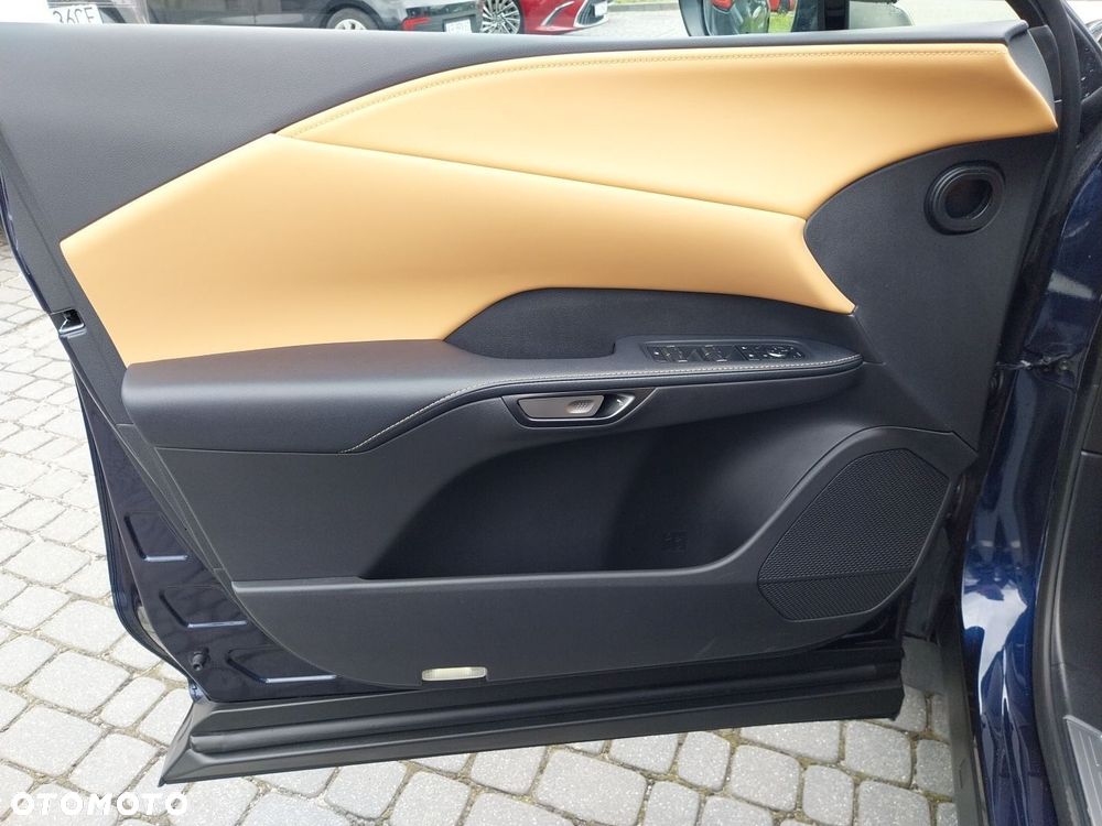Lexus RX - 17