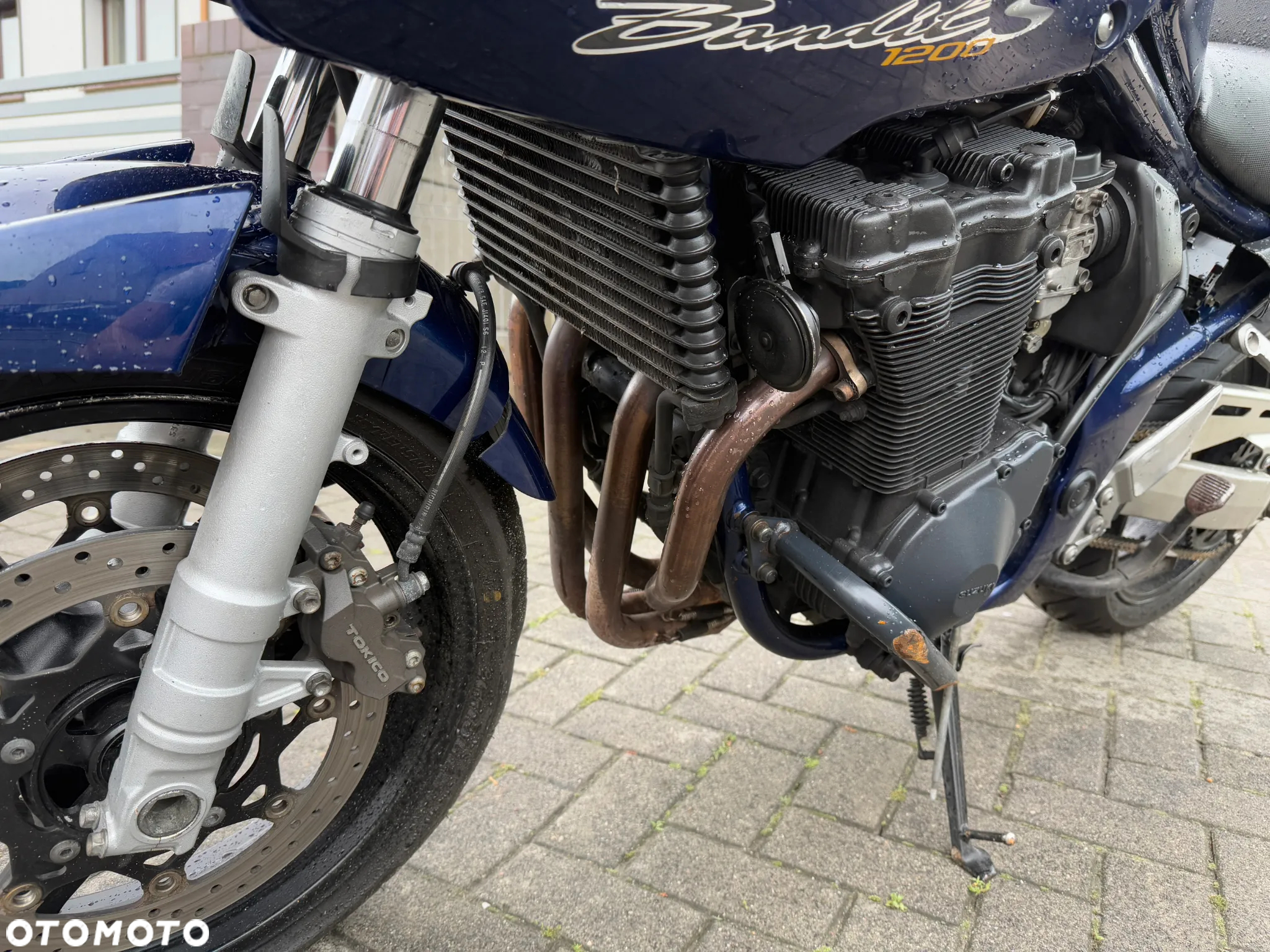 Suzuki Bandit - 17