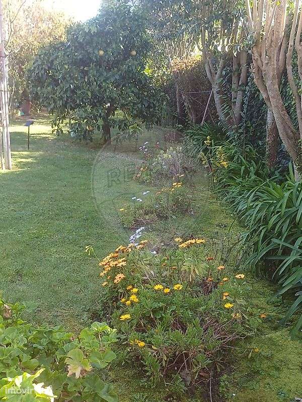 Moradia T2 para venda - Grande imagem: 2/11