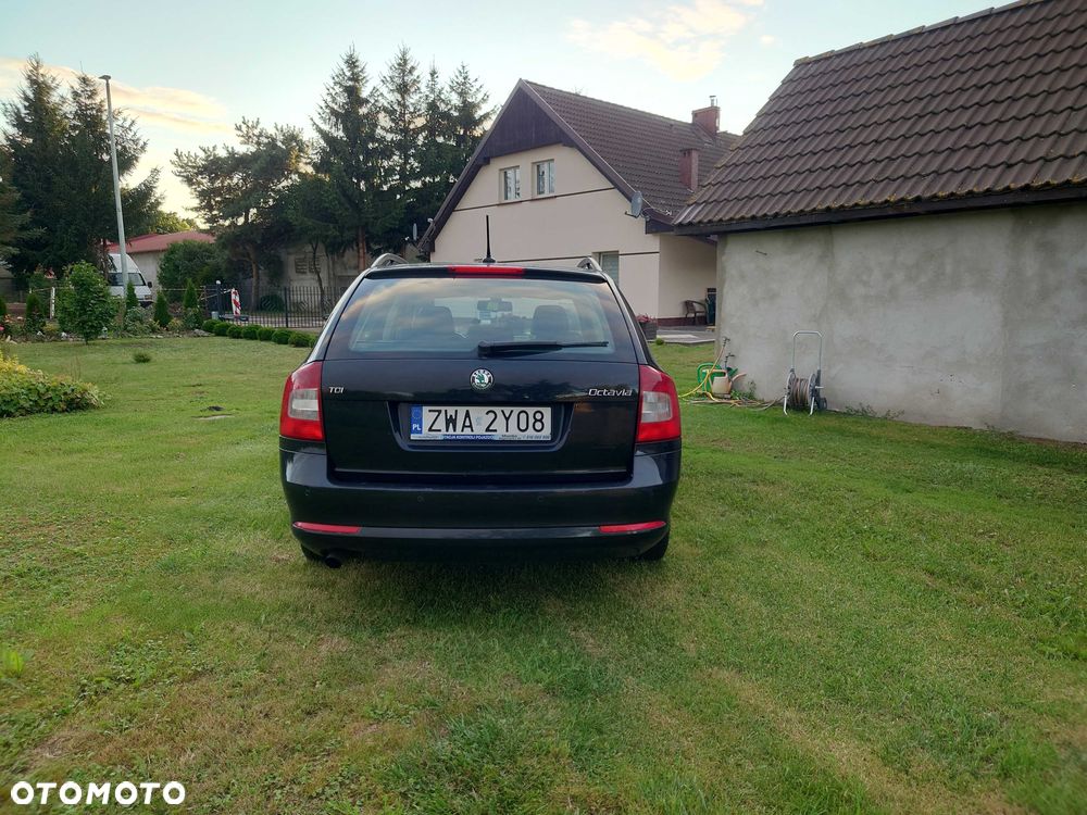 Skoda Octavia - 3