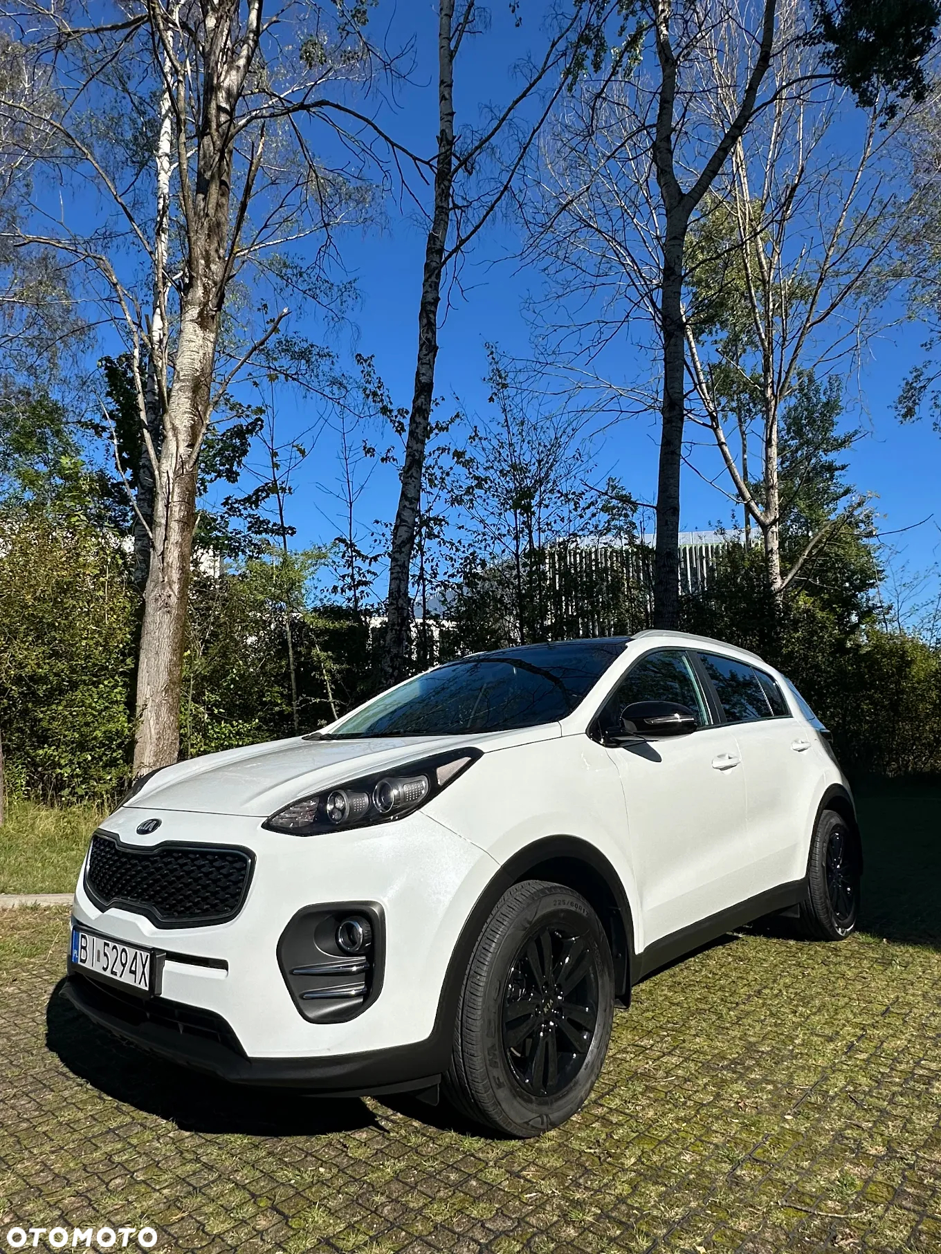 Kia Sportage 1.6 GDI Business Line 2WD - 23