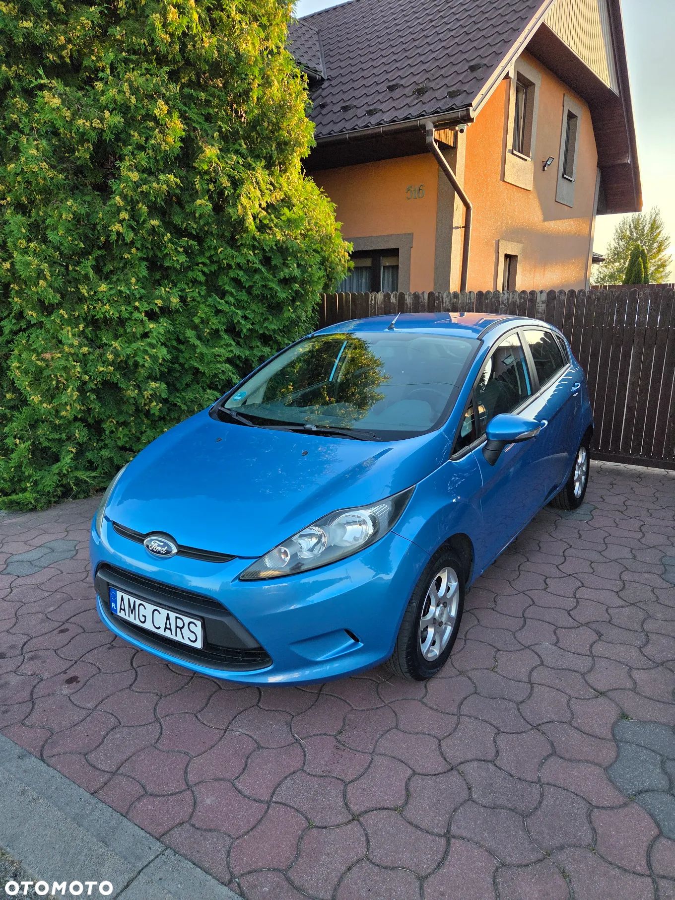 Ford Fiesta - 1