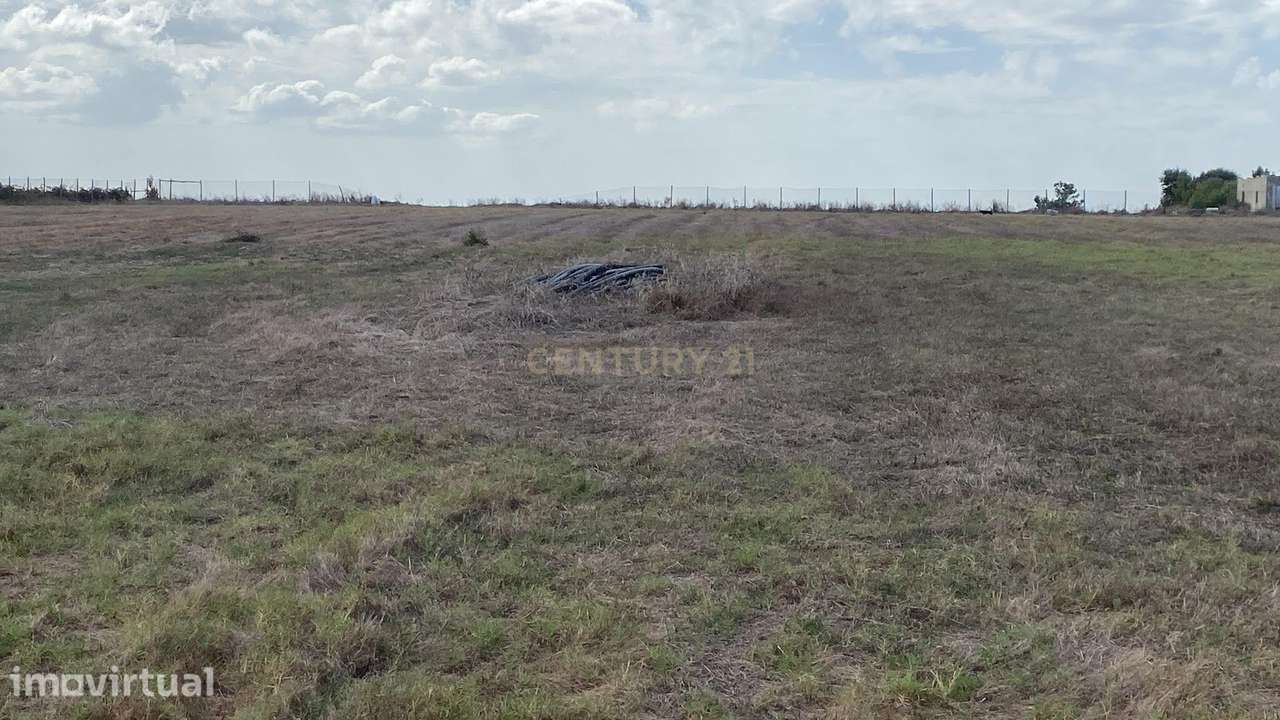 Terreno com 30.000 m² e Licença de Construção Aprovada | Lau, Palmela - Grande imagem: 4/15