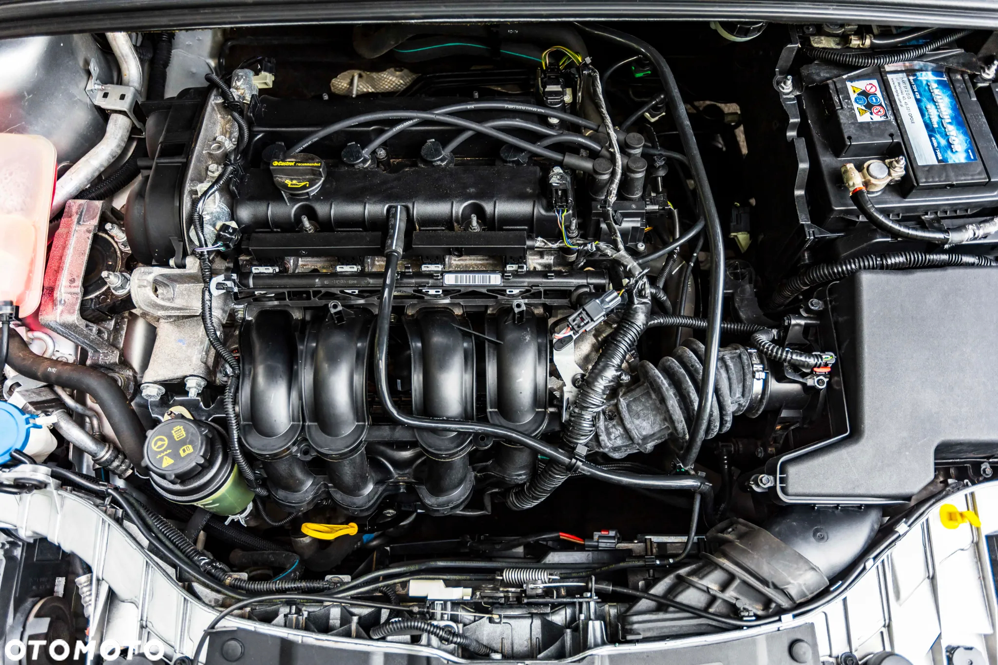 Ford Focus 1.6 Edition - 26