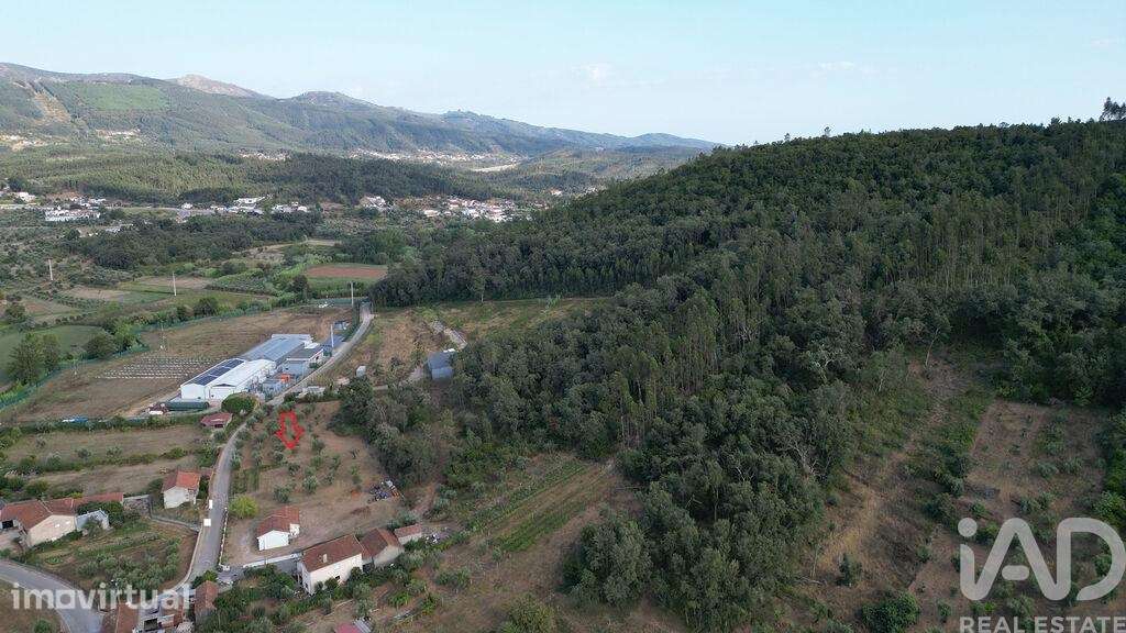 Terreno para construção em São Miguel, Santa Eufémia e Rabaçal - Grande imagem: 5/18