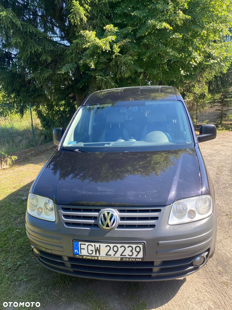 Volkswagen Caddy Life DSG - 5