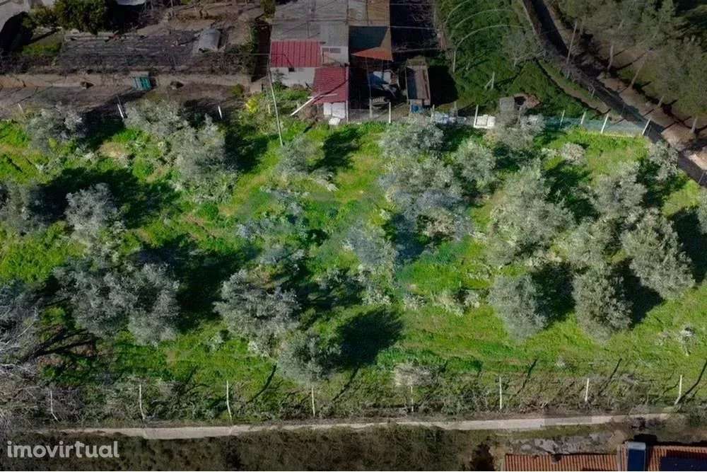 Terreno Rústico em Murça, Vila Real - Grande imagem: 4/4