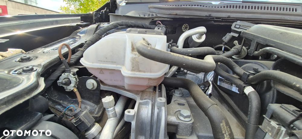 Volkswagen Polo 1.0 TSI Beats - 22