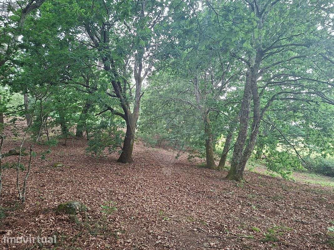Terreno  para venda - Grande imagem: 3/4