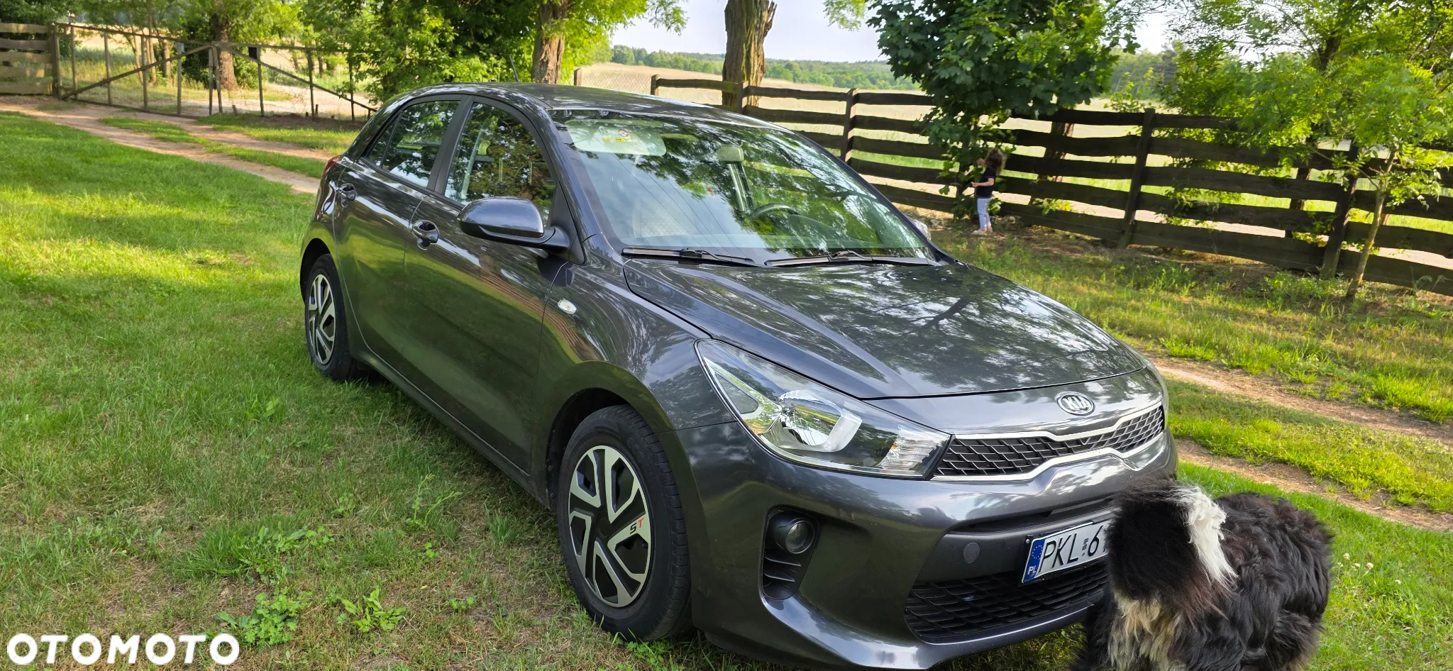 Kia Rio 1.2 M - 2